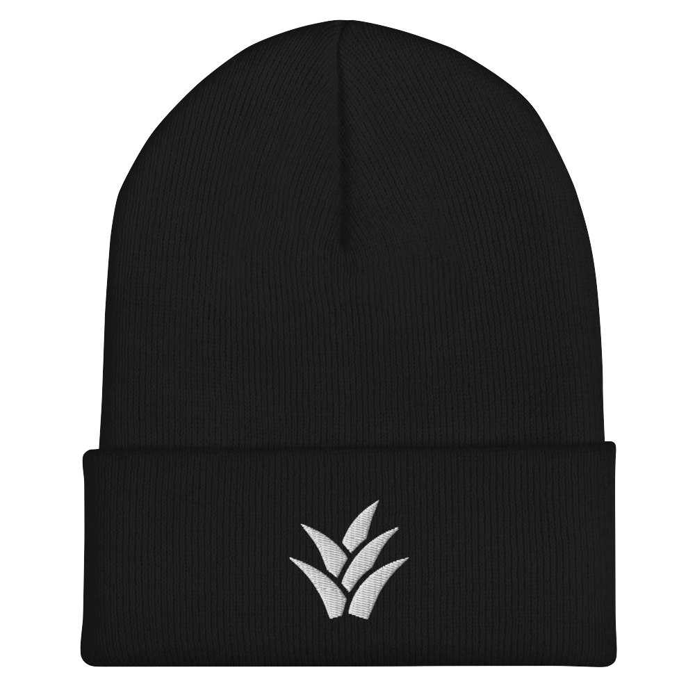 Cuffed Beanie (black)