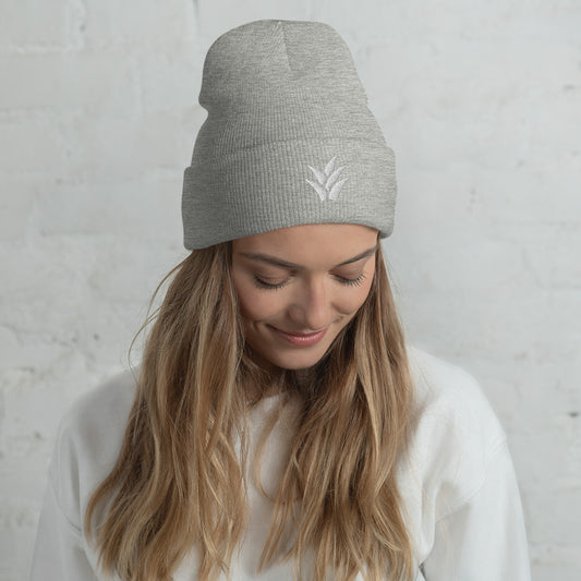 Cuffed Beanie (grey)