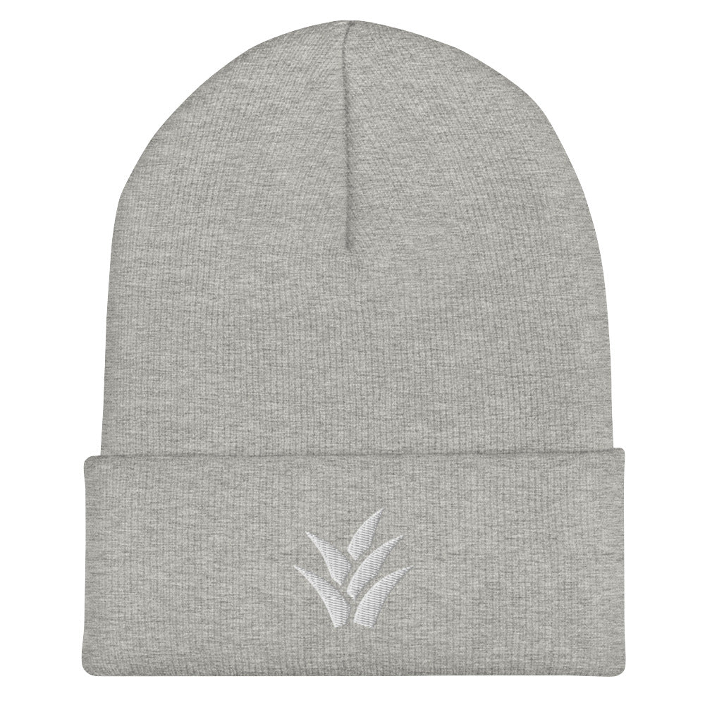 Cuffed Beanie (grey)